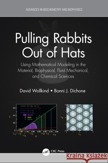Pulling Rabbits Out of Hats: Using Mathematical Modeling in the Material, Biophysical, Fluid Mechanical, and Chemical Sciences David Wollkind Bonni J. Dichone 9781032047874 CRC Press - książka