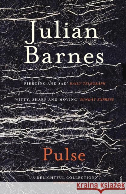 Pulse Julian Barnes 9780099552475 Vintage Publishing - książka