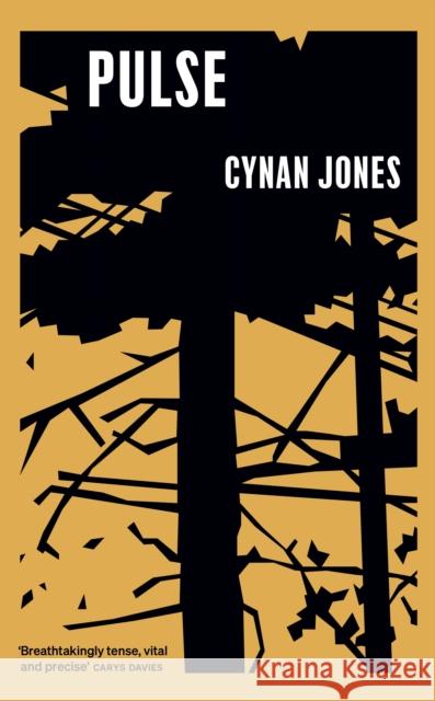 Pulse Cynan Jones 9781783782772 Granta Books - książka