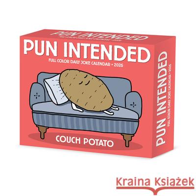 Pun Intended 2026 5.4 X 6.2 Box Calendar Willow Creek Press 9781549254383 Wlcp - książka