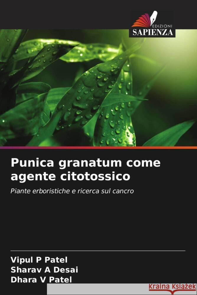 Punica granatum come agente citotossico Vipul P. Patel Sharav A. Desai Dhara V. Patel 9786208097134 Edizioni Sapienza - książka