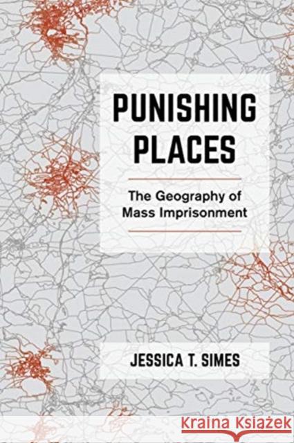 Punishing Places: The Geography of Mass Imprisonment Jessica T. Simes 9780520380325 University of California Press - książka