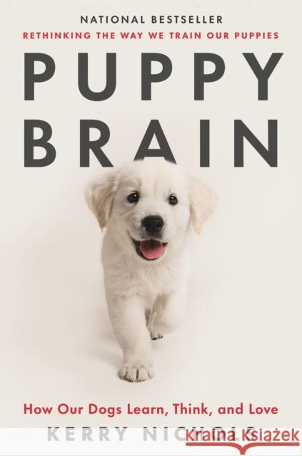 Puppy Brain: How Our Dogs Learn, Think, and Love Kerry Nichols 9781250867964 Celadon Books - książka