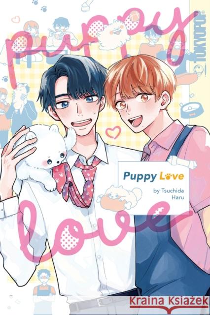 Puppy Love Tsuchida Haru 9781427871213 Love X Love - książka