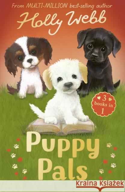 Puppy Pals: The Story Puppy, The Seaside Puppy, Monty the Sad Puppy Holly Webb 9781788956024 Little Tiger Press Group - książka