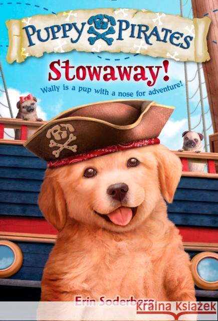 Puppy Pirates #1: Stowaway!  9780553511673 Random House Books for Young Readers - książka