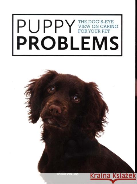 Puppy Problems: The Dog's-Eye View on Tackling Puppy Problems Sophie Collins 9781781453353 GMC Publications - książka