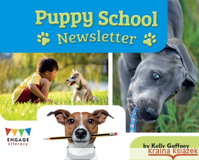 Puppy School Newsletter Kelly Gaffney 9781406299595 Capstone Global Library Ltd - książka