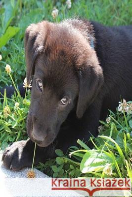 Puppy: The Labrador Retriever, or Just Labrador, or Lab Is a Type of Retriever-Gun Dog. the Labrador Is One of the Most Popul Planners and Journals 9781796534979 Independently Published - książka