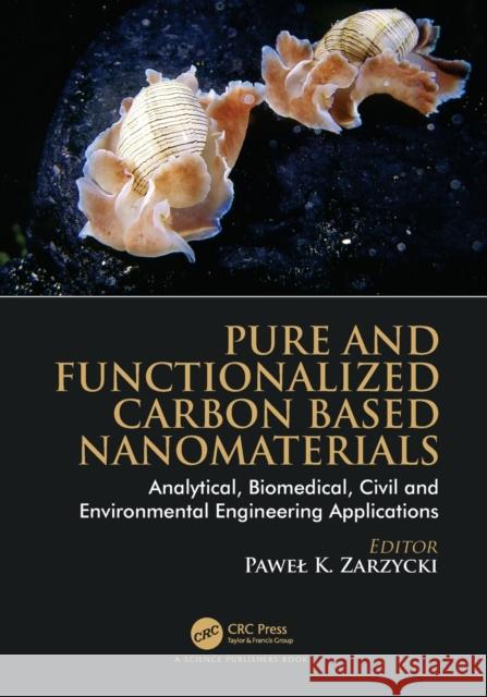Pure and Functionalized Carbon Based Nanomaterials: Analytical, Biomedical, Civil and Environmental Engineering Applications Pawel K. Zarzycki 9780367532147 CRC Press - książka