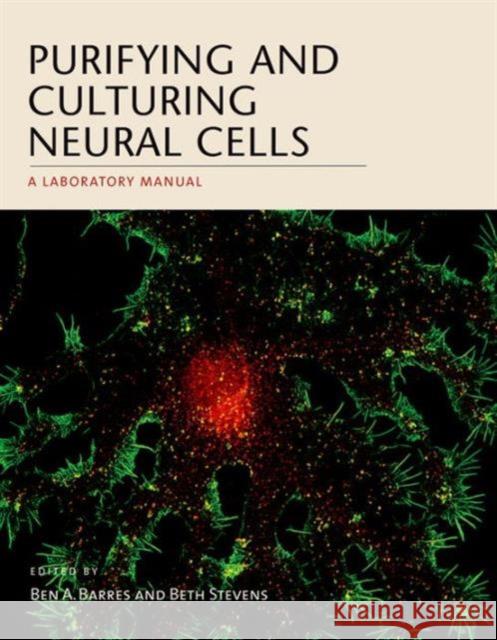 Purifying and Culturing Neural Cells: A Laboratory Manual Barres, Ben A. 9781936113996 Cold Spring Harbor Laboratory Press - książka