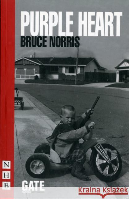 Purple Heart Bruce Norris 9781848423084  - książka