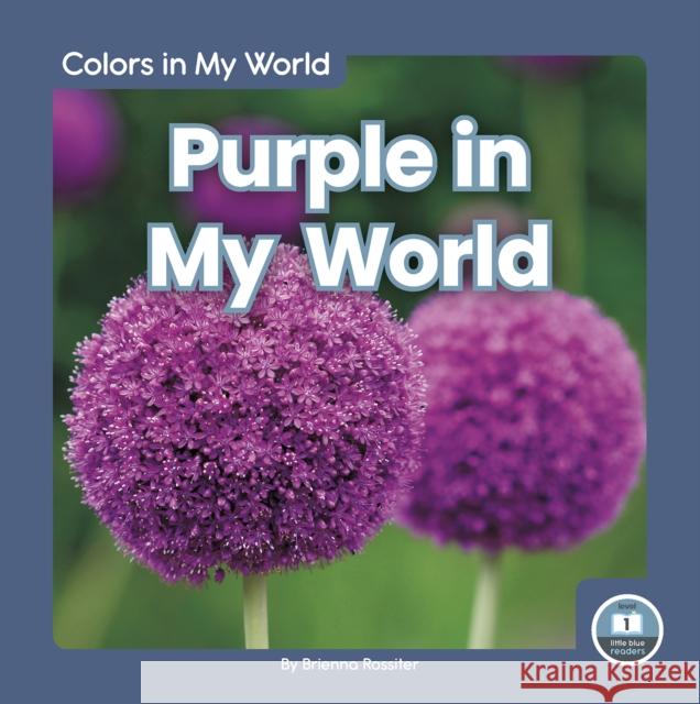 Purple in My World Brienna Rossiter 9781646191604 North Star Editions - książka