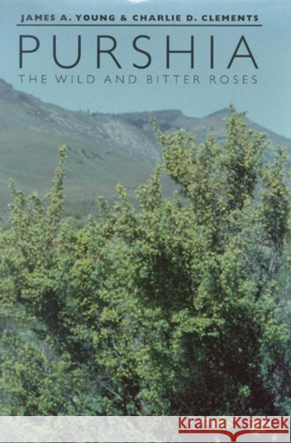 Purshia: The Wild and Bitter Roses Young, James A. 9780874174915 University of Nevada Press - książka