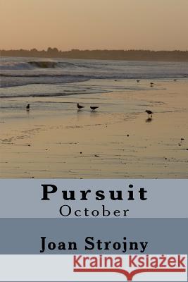 Pursuit Joan Strojny 9781508973379 Createspace - książka