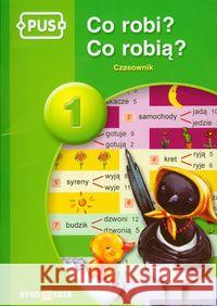 PUS Co robi? Co robią? Czasownik 1 EPIDEIXIS Cybulska Halina 9788375141276 Epideixis - książka