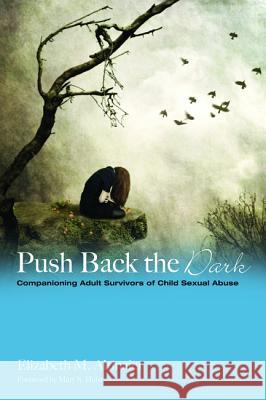 Push Back the Dark Elizabeth M. Altmaier Mary S. Hulst 9781498202091 Cascade Books - książka