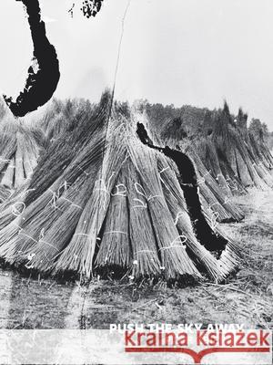Push the Sky Away  9781911306078  - książka