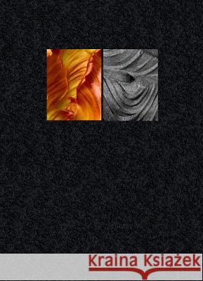 Pushpa: A photographic essay in which cut flowers are coupled with Indian and South-east Asian sculptures and reliefs Ornan Rotem 9781909631380 Sylph Editions - książka