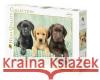 Puzzle 1000 HQ I tre Labrador  8005125392797 Clementoni