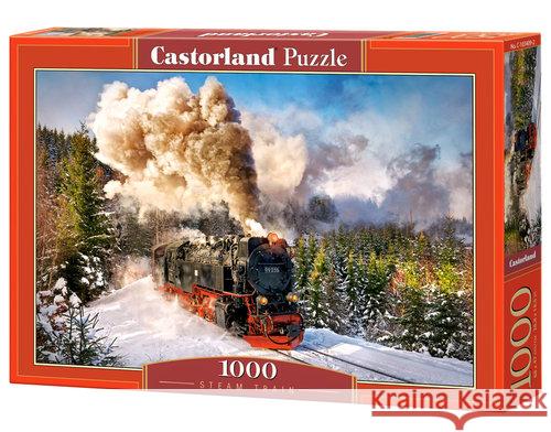 Puzzle 1000 Kolej parowa CASTOR  5904438103409 Castor - książka