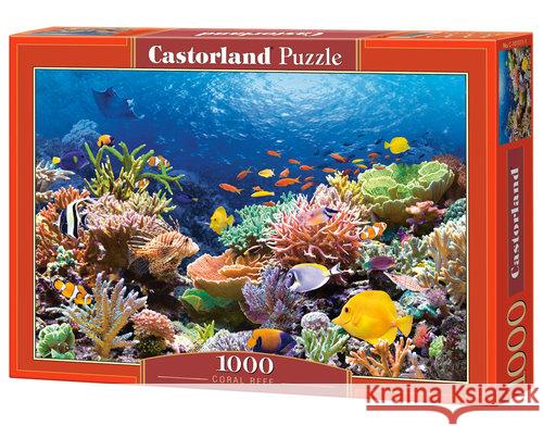 Puzzle 1000 Rafa koralowa CASTOR  5904438101511 Castor - książka