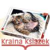 Puzzle 1000 Wesoły kotek TREFL  5900511104486 Trefl