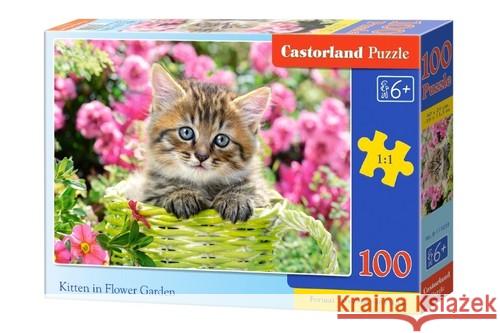 Puzzle 100 Kittens in Flower Garden CASTOR  5904438111039 Castorland - książka