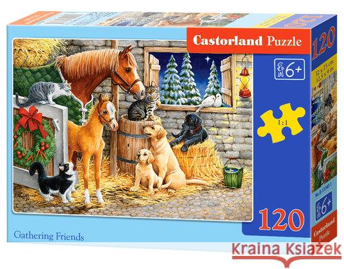 Puzzle 120 Gathering Friends CASTOR Castor 5904438013340 Castorland - książka