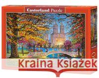 Puzzle 1500 Autumn Stroll Centtral Park CASTOR  5904438151844 Castorland - książka