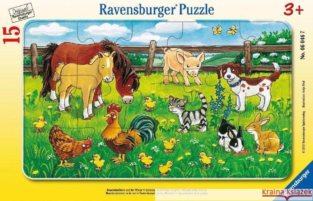 Puzzle 15 Zwierzęta domowe  4005556060467 Ravensburger Verlag - książka