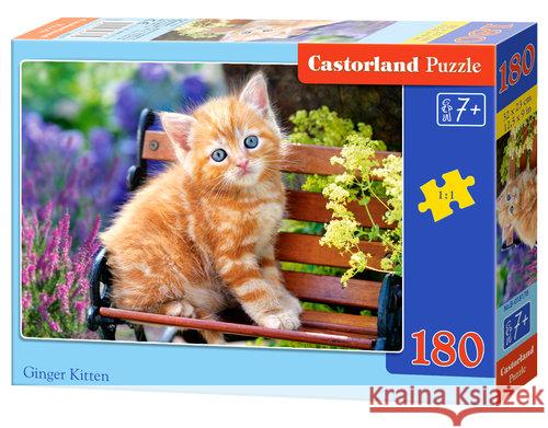 Puzzle 180 Imbirowy kotek CASTOR  5904438018178 Castor - książka