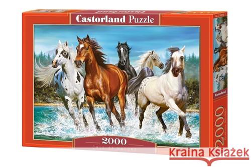Puzzle 2000 Call of Nature CASTOR  5904438200702 Castorland - książka