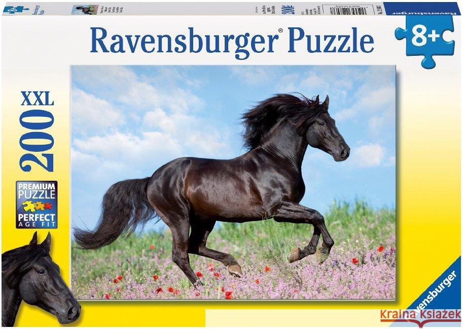 Puzzle 200 Piękno konia  4005556128037 Ravensburger - książka