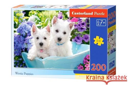 Puzzle 200 Westie Puppies CASTOR  5904438222032 Castorland - książka