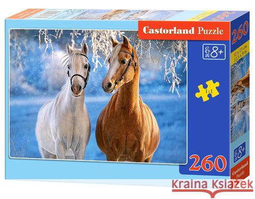 Puzzle 260 Zimowe konie CASTOR  5904438027378 Castorland - książka