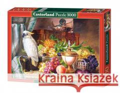Puzzle 3000 Papuga i owoce CASTOR  5904438300143 Castor - książka
