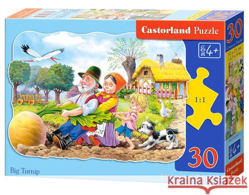 Puzzle 30 Rzepka CASTOR  5904438003242 Castor - książka