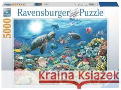 Puzzle 5000 Głębia Oceanu Ravensburger 4005556174263 Ravensburger - książka