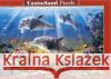 Puzzle 500 Dolphins Underwater CASTOR  5904438052547 Castorland