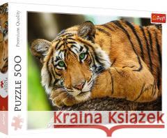 Puzzle 500 Portret tygrysa TREFL  5900511373974 Trefl - książka