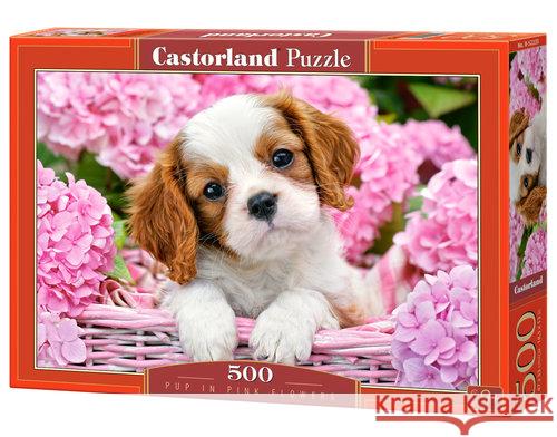 Puzzle 500 Pup in Pink Flowers CASTOR  5904438052233 Castor - książka