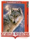 Puzzle 500 Samotny wilk CASTOR  5904438052431 Castorland