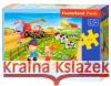 Puzzle 60 Lato na wsi CASTOR  5904438006878 Castor