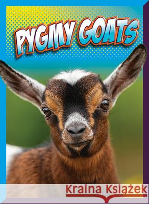 Pygmy Goats Marysa Storm 9781645825937 Black Rabbit Books - książka
