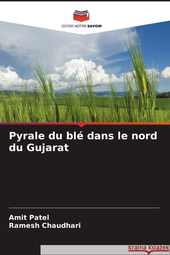 Pyrale du bl? dans le nord du Gujarat Amit Patel Ramesh Chaudhari 9786207194025 Editions Notre Savoir - książka