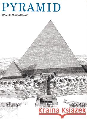 Pyramid David Macaulay 9780395321218 Houghton Mifflin Company - książka