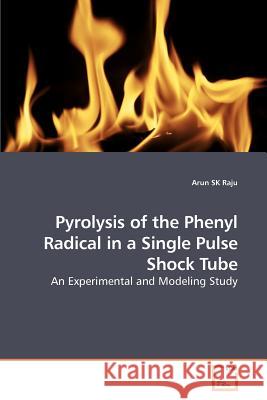 Pyrolysis of the Phenyl Radical in a Single Pulse Shock Tube Arun Sk Raju 9783639211986 VDM Verlag - książka