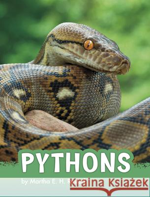 Pythons Martha Elizabeth Hillman Rustad 9781977123190 Pebble Books - książka