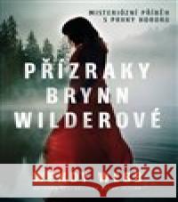 Přízraky Brynn Wilderové Wendy Webb 9788027702800 Vendeta - książka